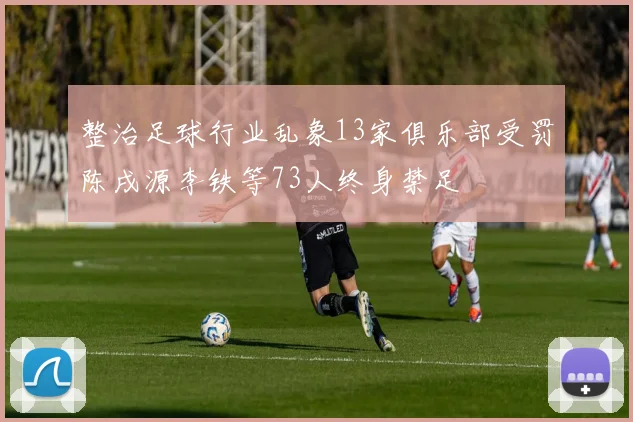 整治足球行业乱象13家俱乐部受罚陈戌源李铁等73人终身禁足